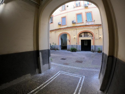 Nautilus Apartment image 40